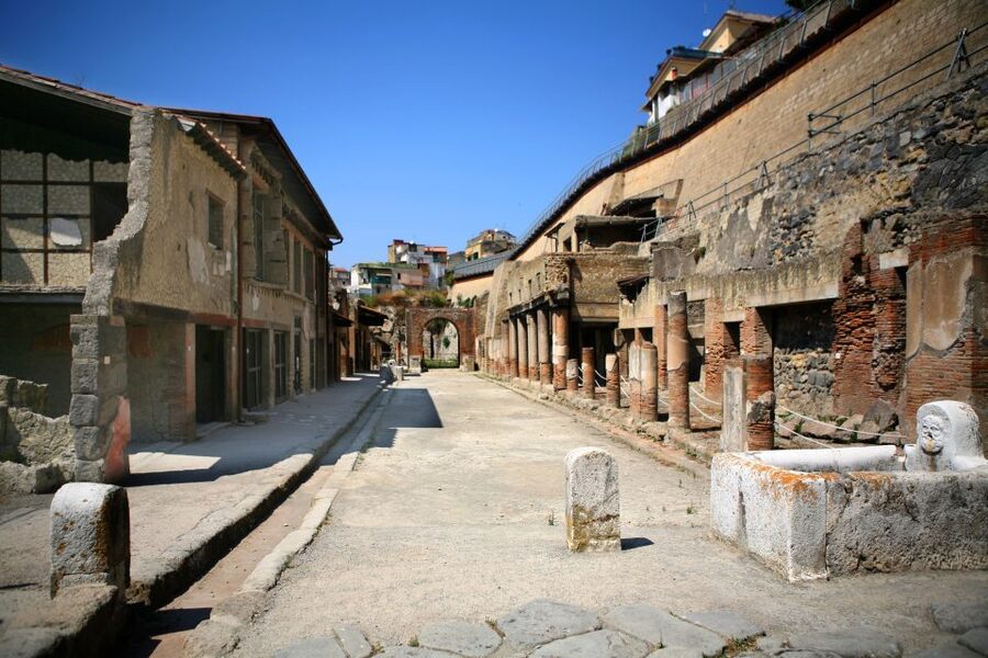 2-Hour Private Tour of the Ruins of Herculaneum - House of the Albergo Gardens, and the Quince Tree Story