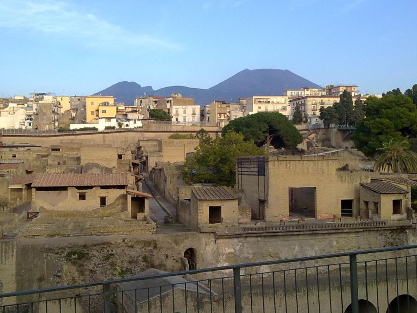 2-Hour Private Tour of the Ruins of Herculaneum - The House of Neptune and Amphitrite, Mosaics Plus Daily Life