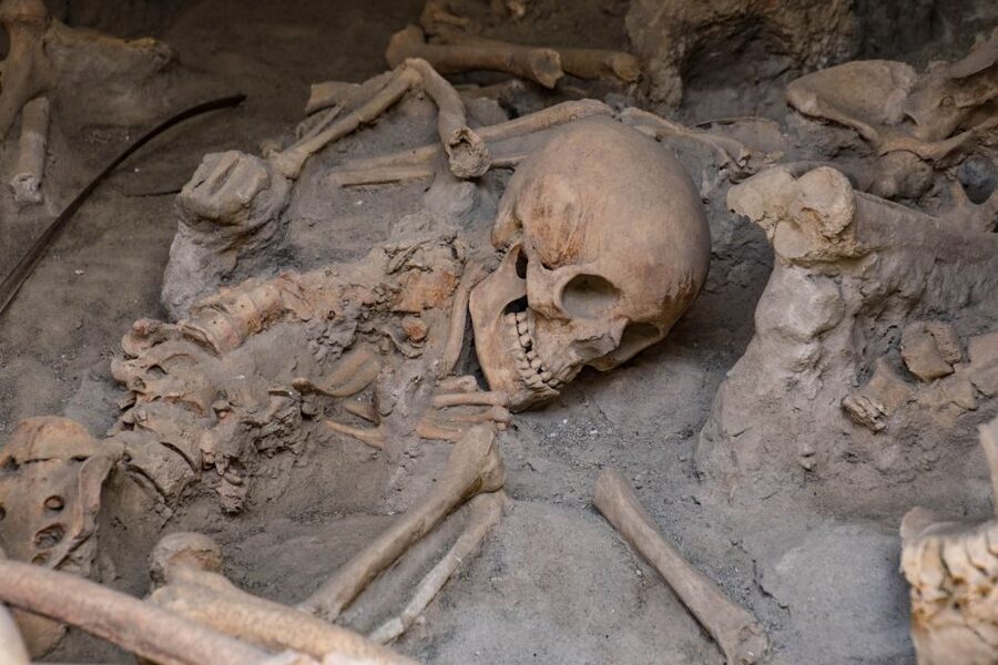 2-Hour Private Tour of the Ruins of Herculaneum - Grande Palestra and the Roman Spa, Workout and Recovery in Stone
