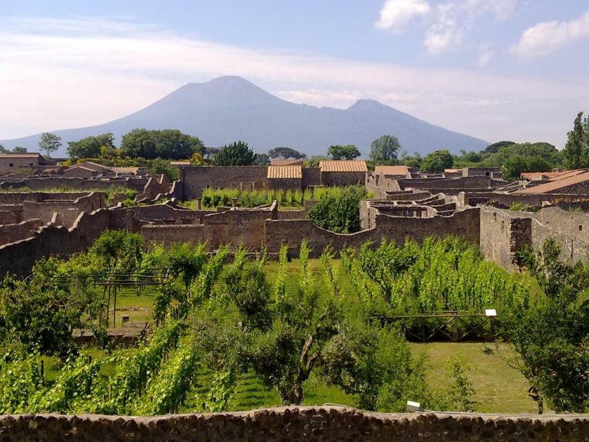 2-Hour Private Walking Tour of Pompeii - Basalt Street Origins: Walking Like a Roman