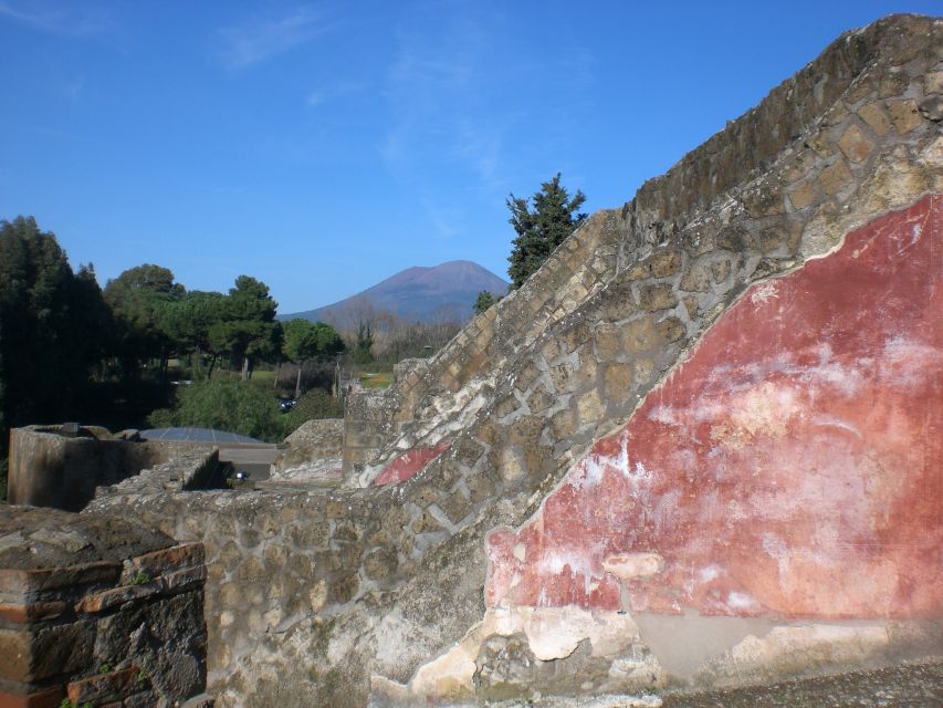 2-Hour Private Walking Tour of Pompeii - Everyday Life Stops: Baths, Villas, Taverns, Shops, and Frozen Moments