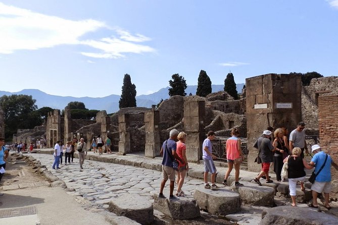 2 hours Pompeii Tour with Local Historian - Ticket Included - Price and what you actually get for $48.39