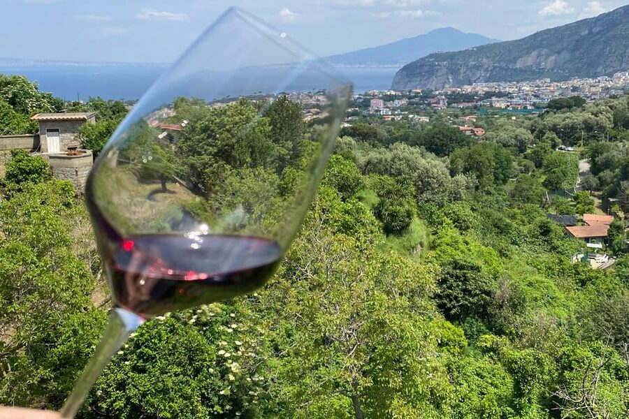 5 Wine Tastings with Typical Products in Sorrento Coast - Food highlights: cured meats, cheeses, seasonal vegetables, and the local menu logic