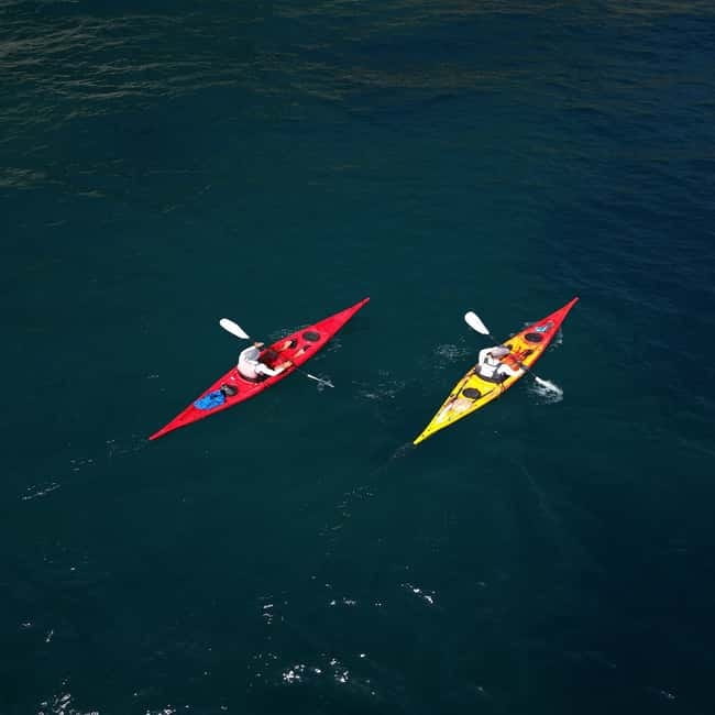 Amalfi Coast: Kayak & Snorkeling tour, sea caves and beach - Key Things I’d Prioritize Before You Go