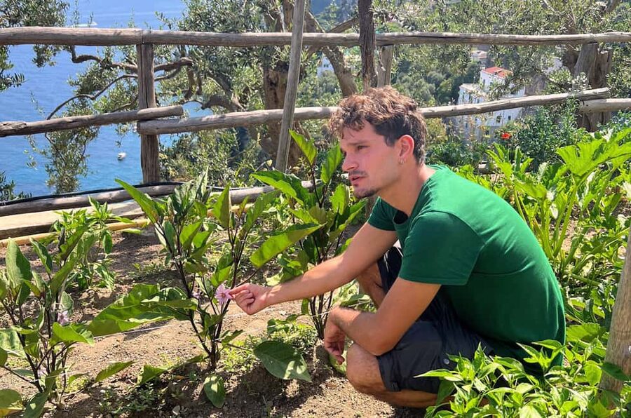 Amalfi Coast: Pizza & Mozzarella Class with Farmhouse visit - Simple Tips to Get the Most Out of Your 3 Hours