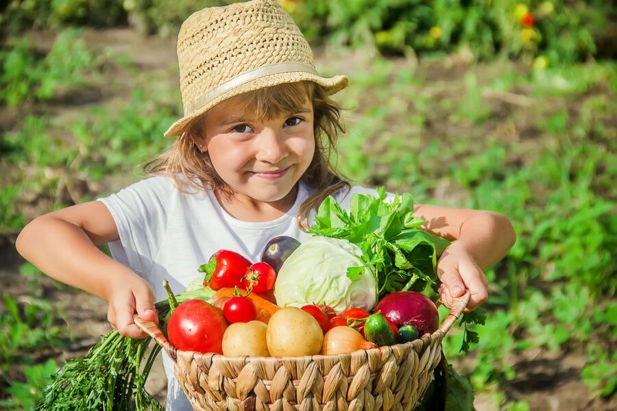 Amalfi: Cooking Class and Farmhouse Visit With Meal - Key highlights you’ll actually care about