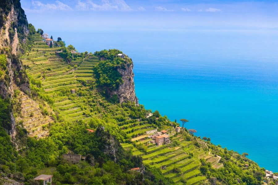 Amalfi: Cooking Class and Farmhouse Visit With Meal - Picking vegetables and herbs with gloves and wicker baskets