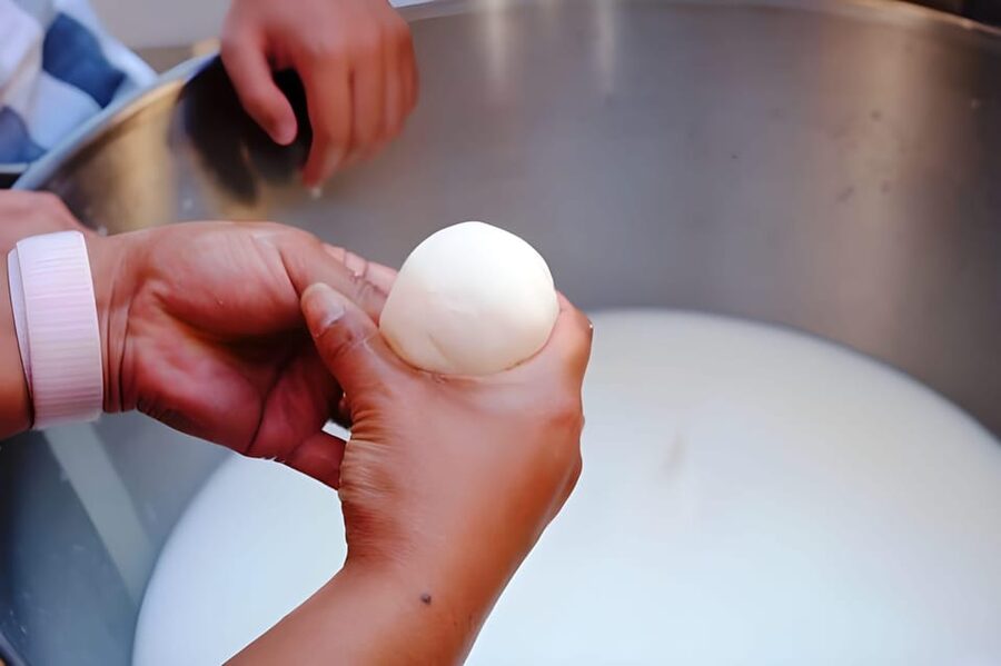 Amalfi: Learn how to make pasta, mozzarella and tiramisù! - Making mozzarella at the farm, from cows raised onsite