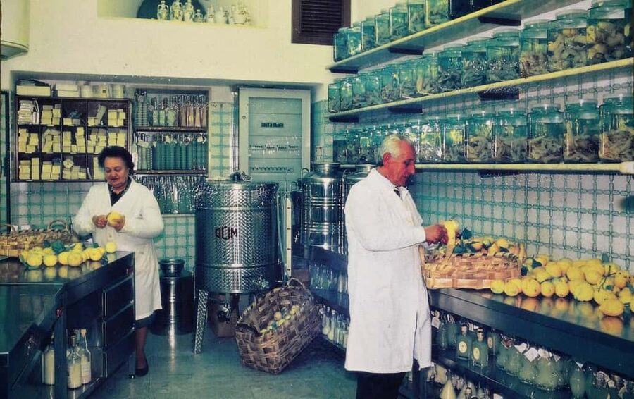Amalfi: Limoncello Factory Visit with Instructor and Tasting - The Family Recipe Moment, Including Tips for Making It at Home