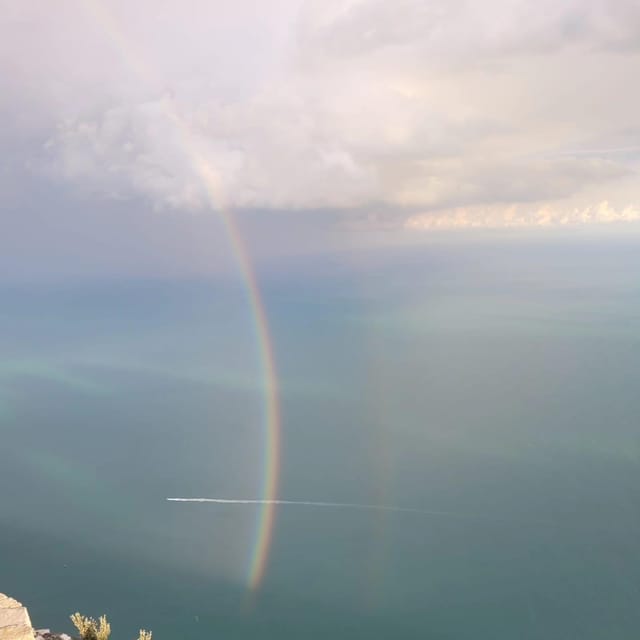 Amalfi: Make tagliatelle, mozzarella and tiramisù - What the Class Feels Like: Hands-On, Family-Run, and Surprisingly Fun