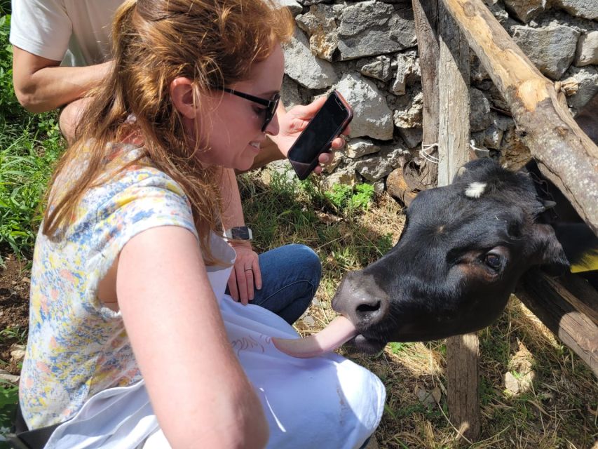 Amalfi: Make tagliatelle, mozzarella and tiramisù - Meet Valentino’s Family and Walk the Farm Grounds