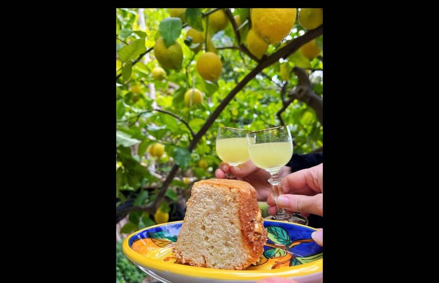 Amalfi Organic Lemon Tour & Tasting in the Historical Garden - The Walk, the Break, and the Part You Actually Remember: Lemon Views Plus Tastings
