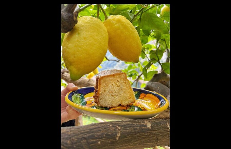 Amalfi Organic Lemon Tour & Tasting in the Historical Garden - Pricing and Value: Why $59 Can Be a Bargain in Amalfi