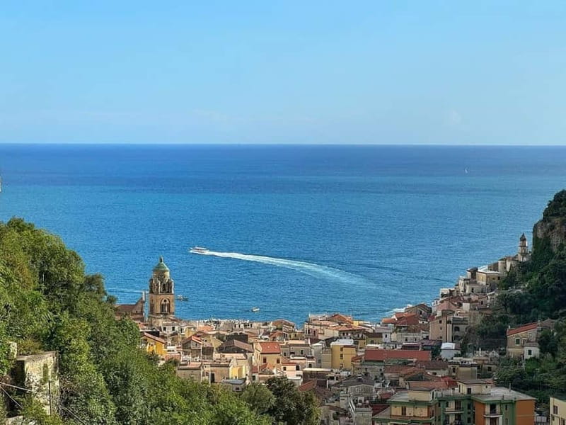 Amalfi Organic Lemon Tour & Wine Tasting + Dinner or Lunch - Key things to know before you go