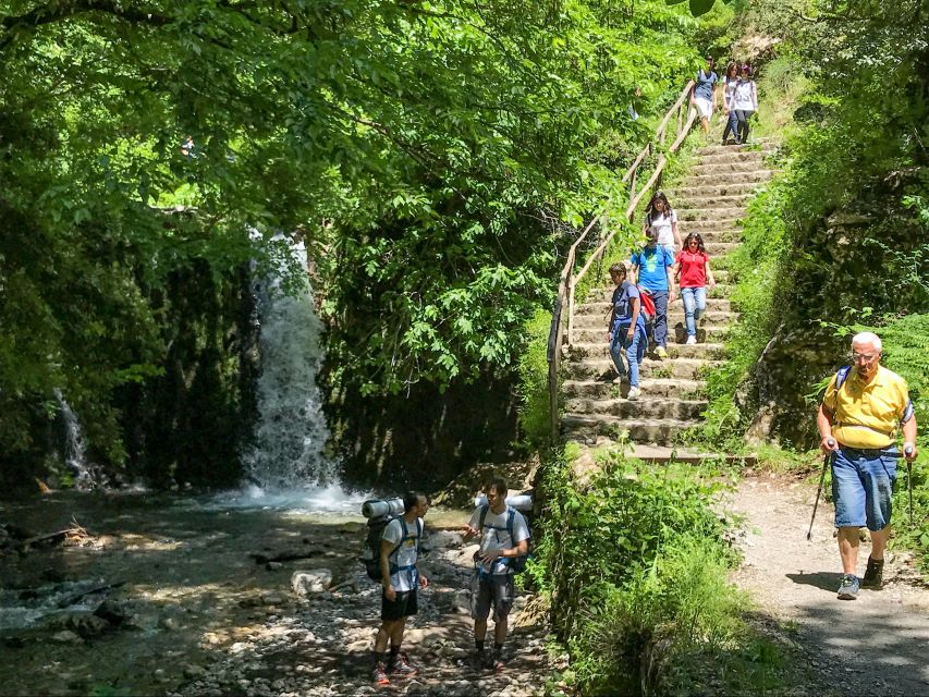 Amalfi: Private Valley of the Mills Nature Reserve Tour - Riserva Statale Valle delle Ferriere: waterfalls, rare plants, and a guided entry