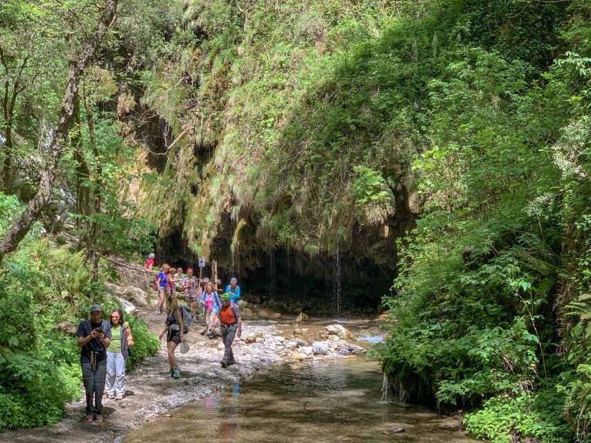 Amalfi: Private Valley of the Mills Nature Reserve Tour - Optional lunch at an Agriturismo in the valley, with bio lemon juice