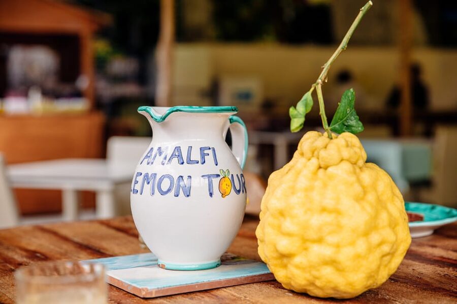 Amalfi: Vertical Lemon Farm Tour, Tastings, and Rural Museum - Tastings that actually teach you what lemon tastes like