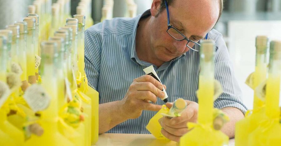 Amalfi: Vertical Lemon Farm Tour, Tastings, and Rural Museum - Where you meet: Via delle Cartiere, 59, and a key direction tip