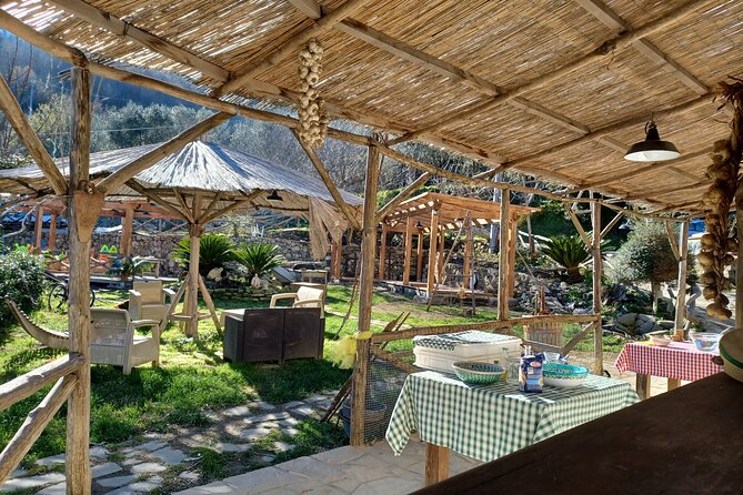 Authentic Farm Tour with Pizza, Cheese, Wine & Limoncello Tasting - Getting to Primaluce: meeting point and the scenic ride into the hills