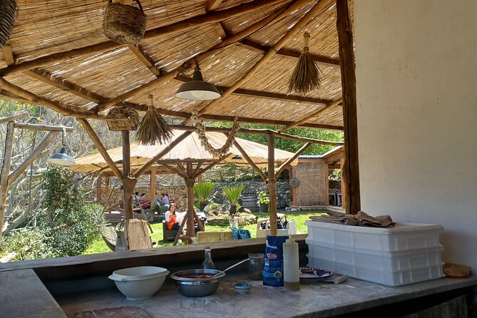 Authentic Farm Tour with Pizza, Cheese, Wine & Limoncello Tasting - Lunch at the agriturismo: what you actually eat and why it feels satisfying