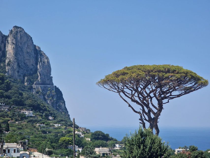 Capri, Anacapri & Blue Grotto Small Group Tour - Mount Solaro and the Optional Chairlift for Wide-Open Views