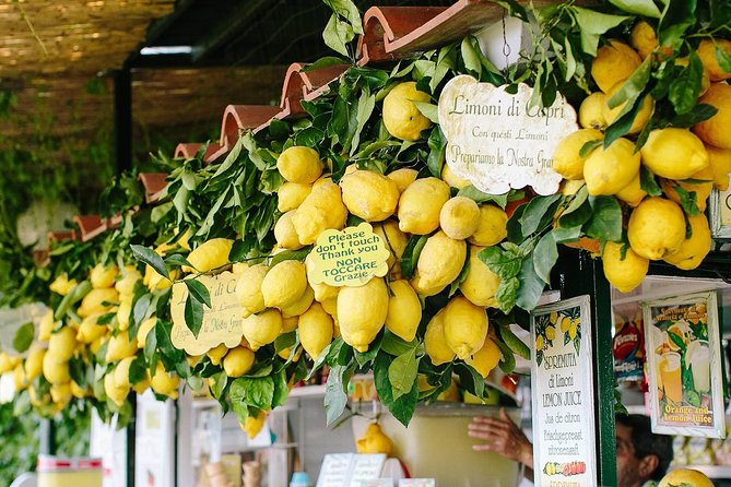 Capri Boat tour from Positano with Light Lunch, Drinks & Swim - Cruise Time Along the Sorrento Coast and Toward Capri