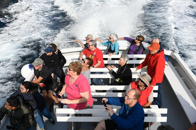 Capri Coast to Coast: Boat Tour with Optional Blue Grotto - Does It Include Swimming and Onboard Comfort?
