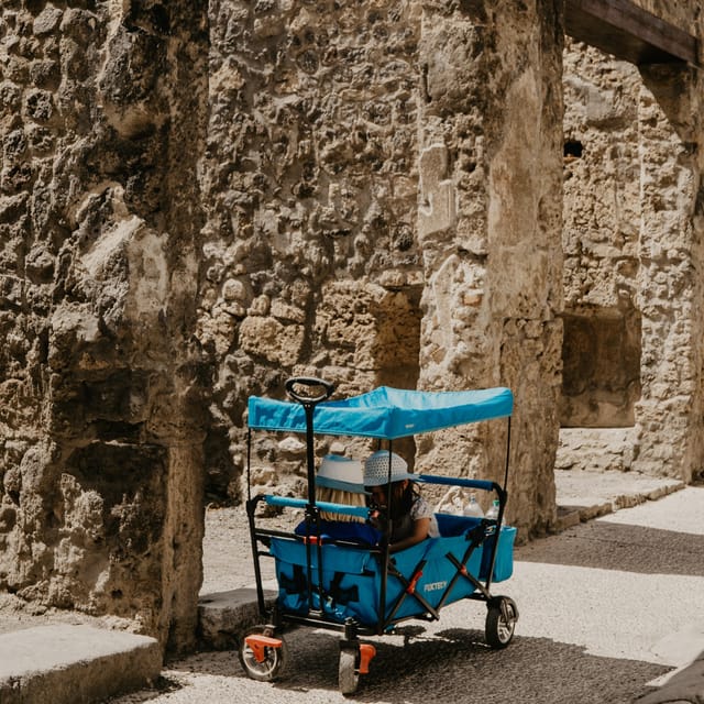 Discover Pompeii: French Walking Tour of the Buried City - Entering Pompeii with skip-the-line tickets that actually save time