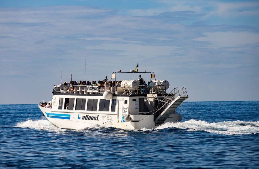 From Amalfi Coast: Capri and Anacapri Full-Day Guided Trip - Monte Solaro Chairlift Option: Pick Views or Food
