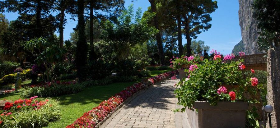 From Capri: Capri Walking Tour - Price and Value: What You’re Actually Paying For