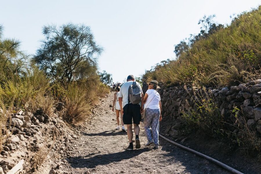 From Naples: All-Inclusive Mount Vesuvius Half-Day Tour - Who this tour fits best