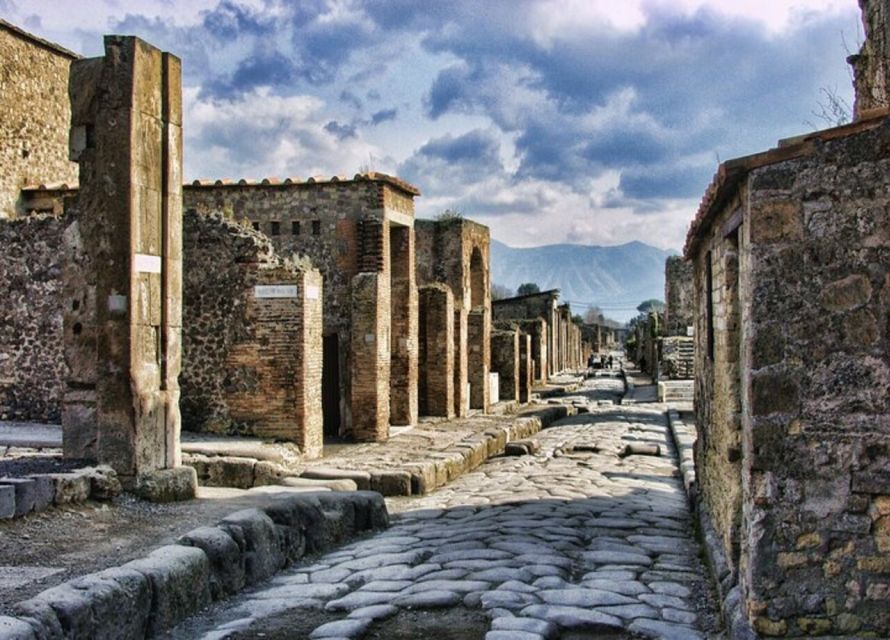 From Naples: Pompeii and Herculaneum VIP Tour with Lunch - Getting From Naples: Transport, Pace, and On-Board Talk