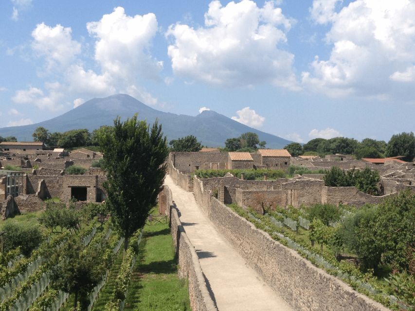 From Naples: Pompeii Ruins VIP Guided Tour - Key Things to Know Before You Go