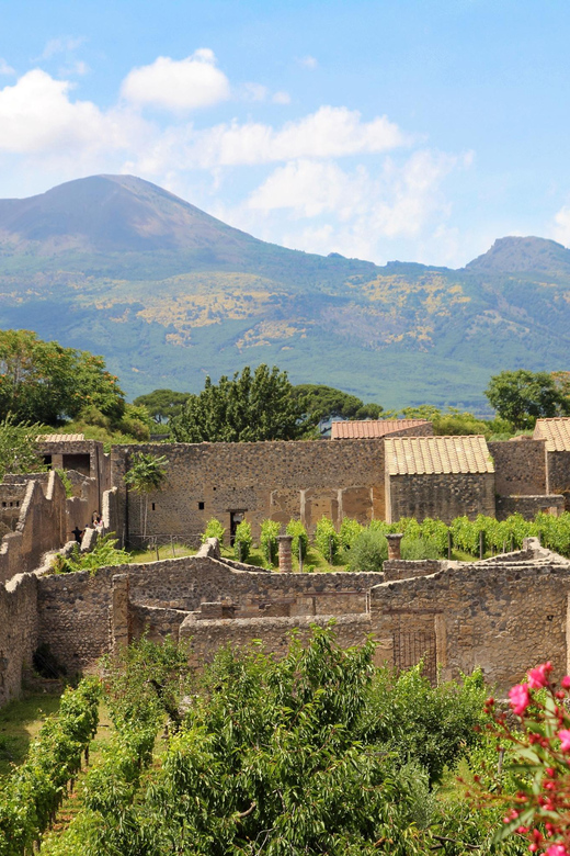 From Naples Port:Pompeii+Vesuvius tour - How this feels on the ground: group pace, information level, and practical expectations