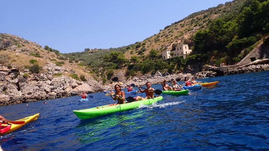 From Nerano: Kayaking Tour to the Bay of Leranto - Wildlife spotting and eco-friendly kayaking, without fantasy expectations