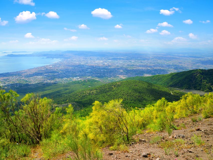 From Pompeii: Bus Transfer to Vesuvius with Park Entry Fee - The ride to 1000 meters: what the drive is like
