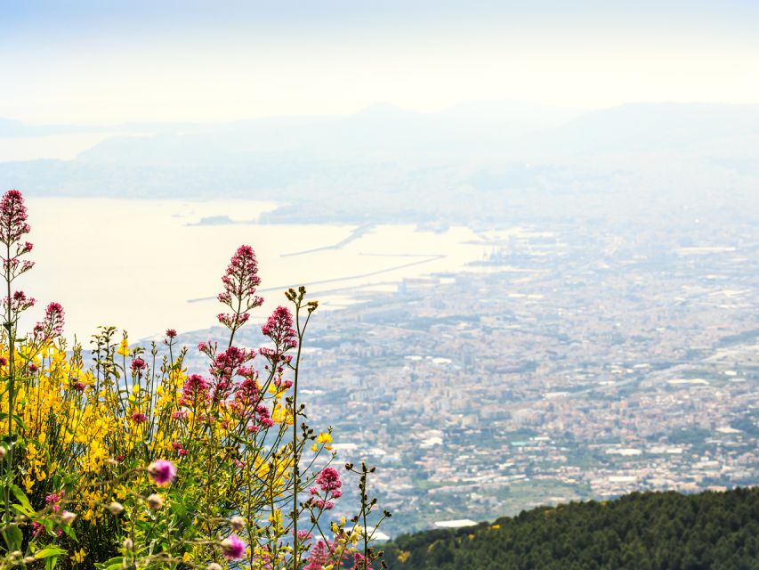 From Pompeii: Bus Transfer to Vesuvius with Park Entry Fee - Via Roma 32: how the meeting point actually feels on the ground