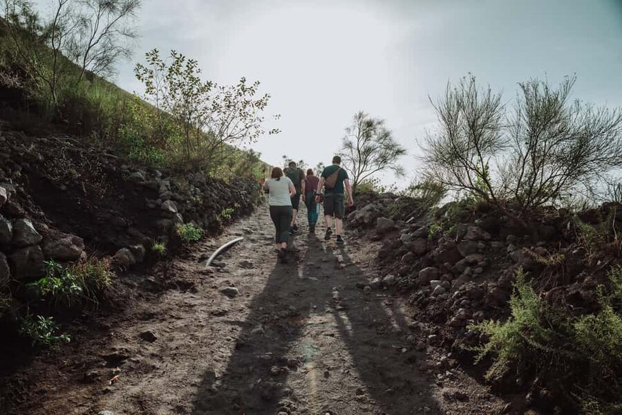 From Pompeii: Mount Vesuvius Guided Tour with Transfer - At the Crater: Looking Into the Mouth of the Volcano