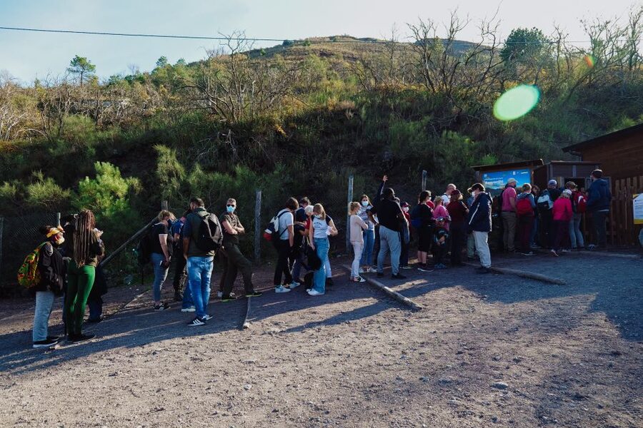 From Pompeii: Mount Vesuvius Guided Tour with Transfer - How the Guide and Volcanologist Shape the Whole Experience