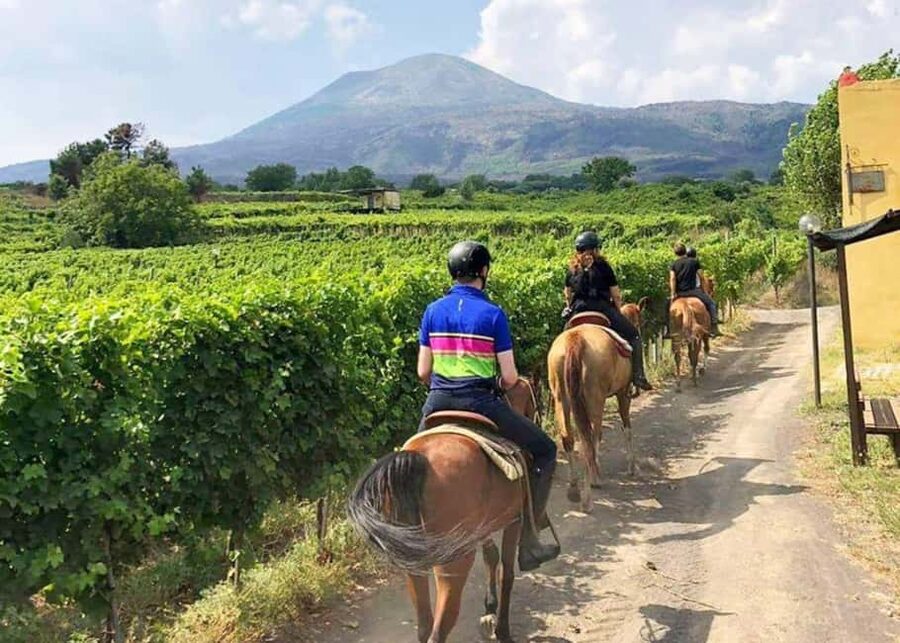 From Pompeii: Mount Vesuvius Horseback Riding Tour - Key things you’ll notice on this Pompeii to Vesuvius horseback tour