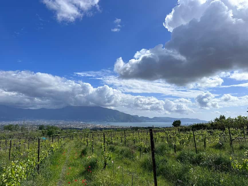 From Pompeii: Mount Vesuvius Horseback Riding Tour - Why a horseback ride at the foot of Vesuvius feels special