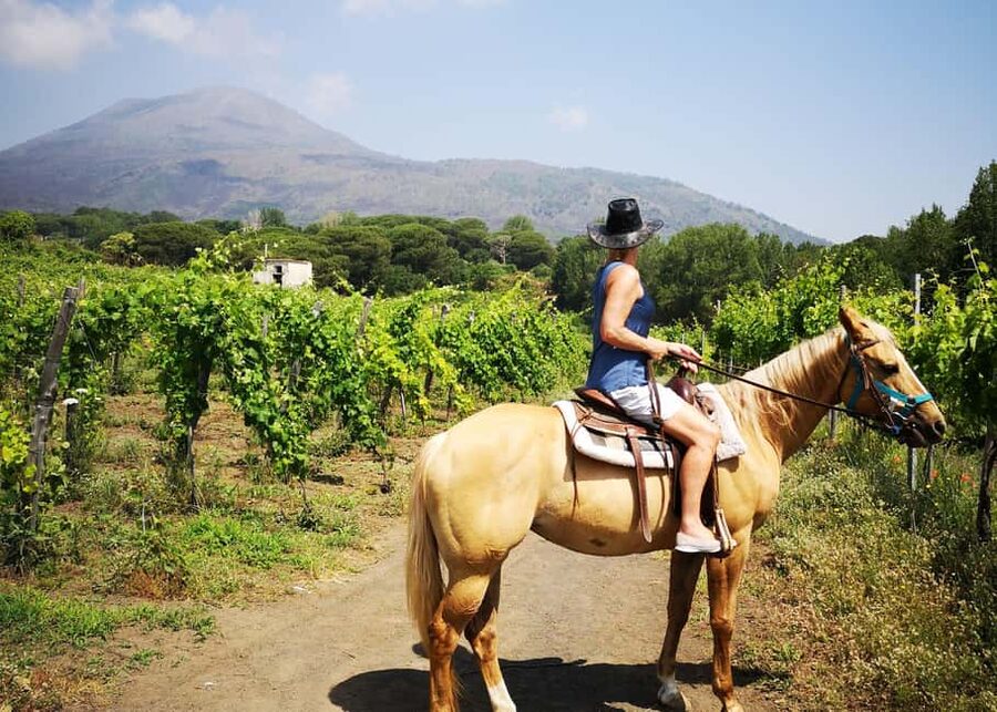 From Pompeii: Mount Vesuvius Horseback Riding Tour - Price check: is $79.30 worth it?