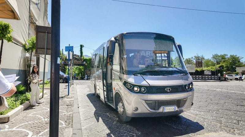 From Pompeii: Mount Vesuvius with bus, ticket and audioguide - The ride up to Vesuvius: van time and how to use it