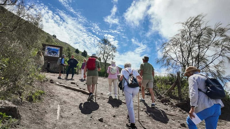From Pompeii: Mount Vesuvius with bus, ticket and audioguide - Visiting Mount Vesuvius with 110 minutes on site