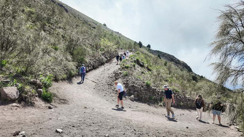 From Pompeii: Mount Vesuvius with bus, ticket and audioguide - Who should book this Pompeii to Vesuvius tour