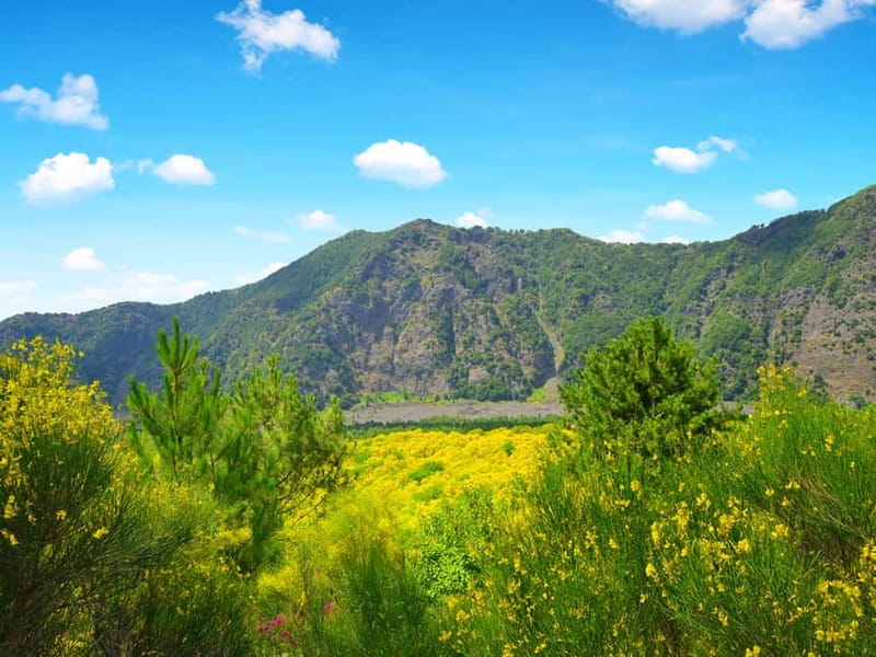 From Pompeii: Mt. Vesuvius Hike & Tour by Bus - Why the Vesuvius crater hike from Pompeii is such a smart plan