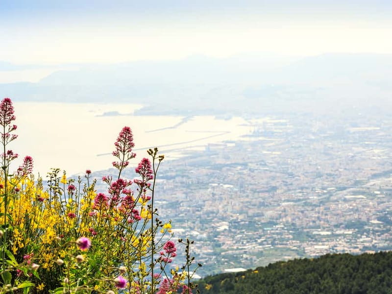 From Pompeii: Mt. Vesuvius Hike & Tour by Bus - The hike to 1000 meters and onward: what your legs should expect