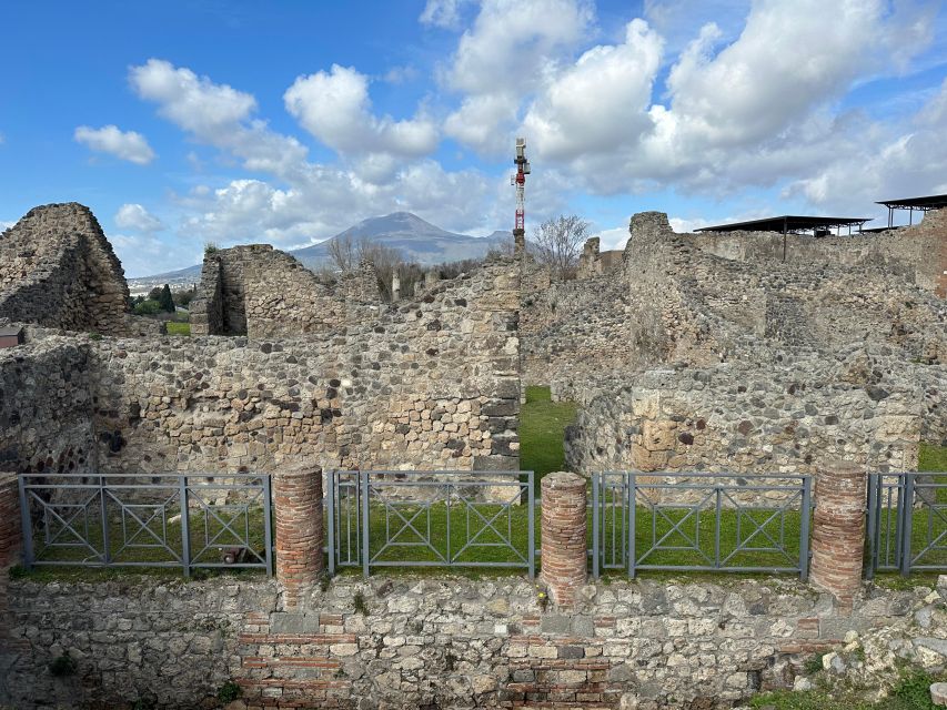 From Pompeii: Vesuvius excursion + Pompeii guided tour - Comfort and mobility: who should book, and who should rethink it