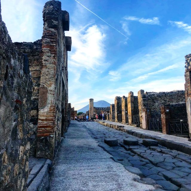 From Positano: Pompeii Ruins Small Group Guided Tour - Price and Logistics: Does It Feel Like Value?