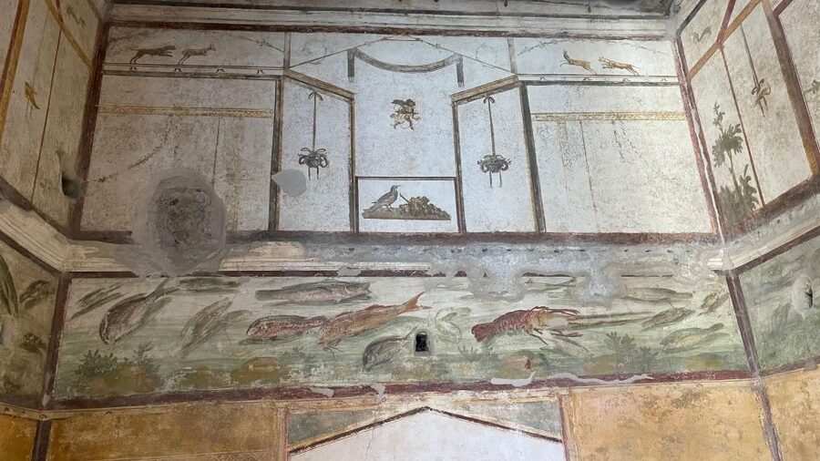 From Positano: Pompeii, Vesuvius, & Wine Tasting with Lunch - Key Points You Should Know Before You Go